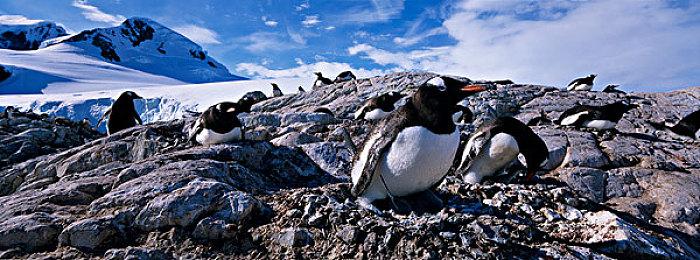 PS Plus三月会免游戏公布 包含《师父》、《命运2：邪姬魅影》